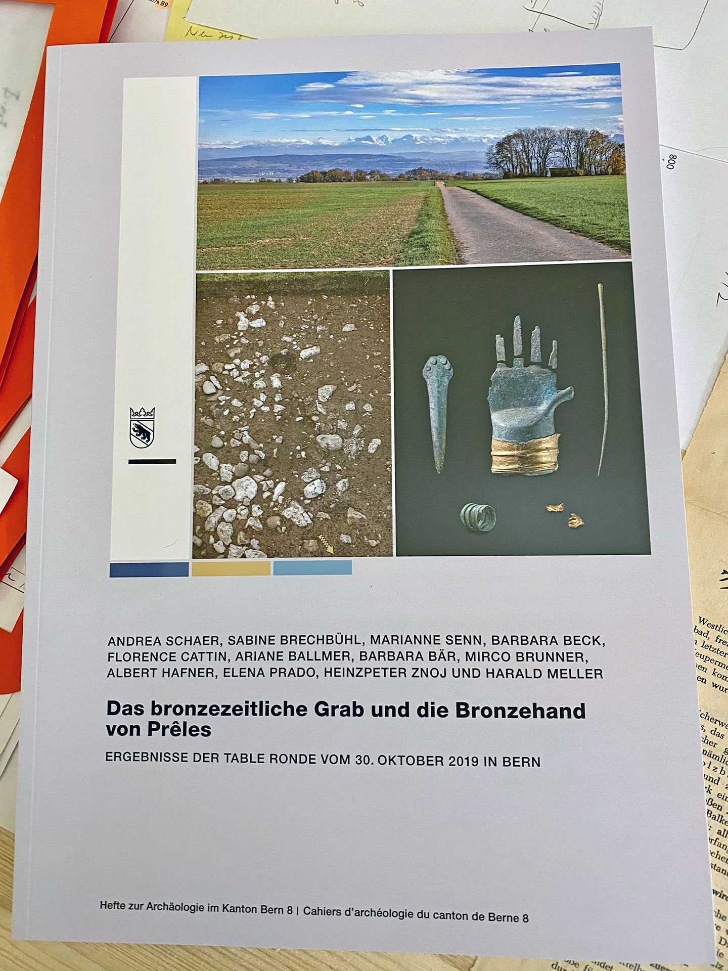 Fotografie des Buches: Das bronzezeitliche Grab und die Bronzehand von Préles.